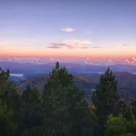 Montesanto 116