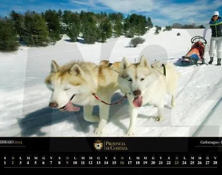 Montesanto 116 Κοσέντζα