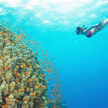 Montesanto 116 Διαμέρισμα Κοσέντζα