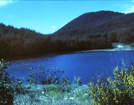 Montesanto 116 Apartamento *