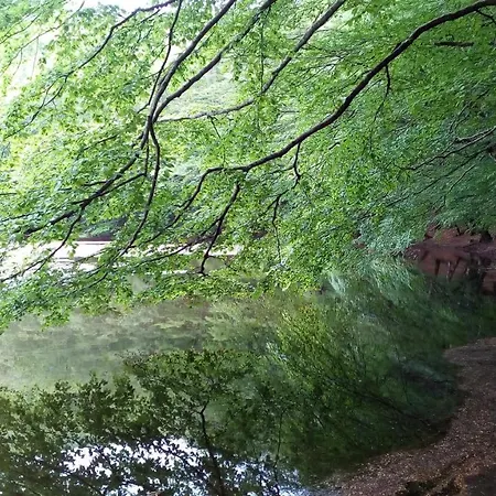 Montesanto 116 Apartamento *