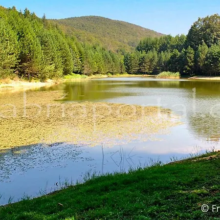 Montesanto 116 Διαμέρισμα Κοσέντζα