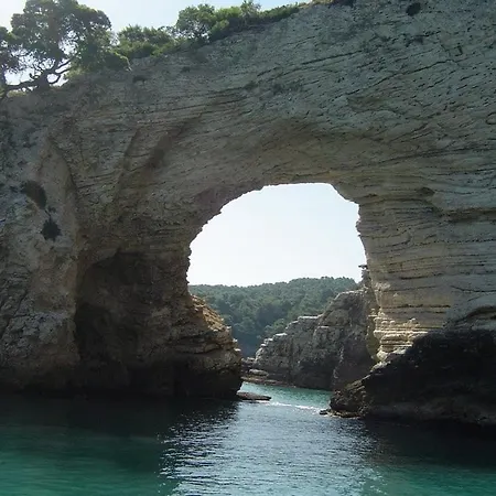 Διαμέρισμα Montesanto 116 Κοσέντζα