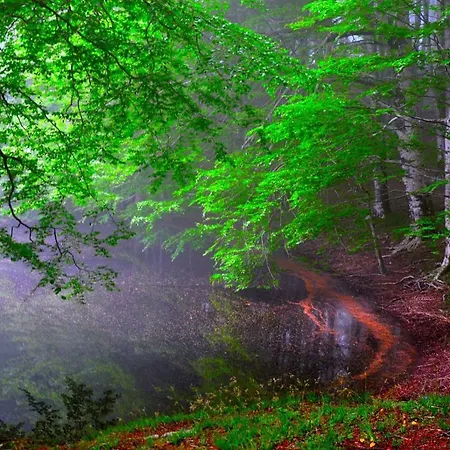 Montesanto 116 Apartamento Cosenza