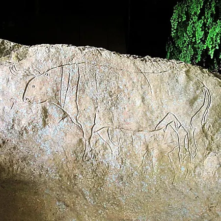 Montesanto 116 דירה