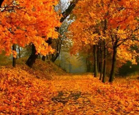 Montesanto 116 * Cosenza