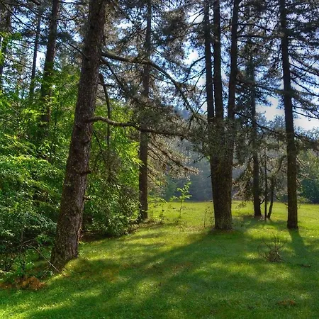 Διαμέρισμα Montesanto 116