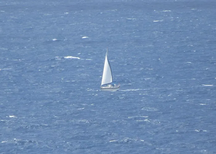 公寓 Montesanto 116