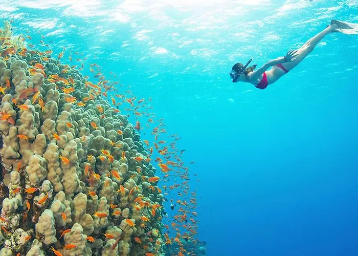 Montesanto 116 公寓 科森扎