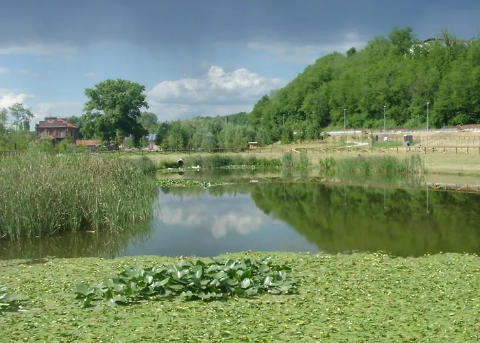 Montesanto 116 科森扎