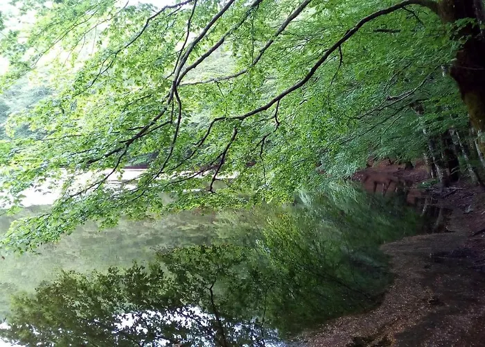 Montesanto 116 公寓 *