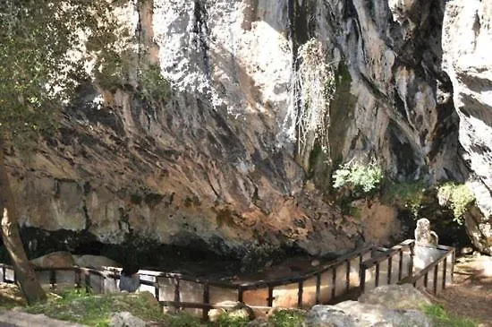 Montesanto 116 科森扎