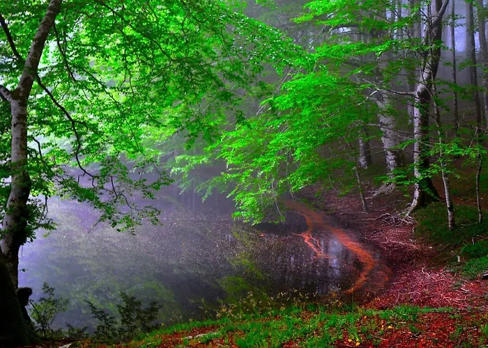 Montesanto 116 公寓 科森扎