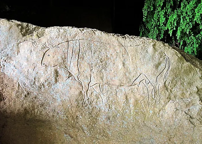 Montesanto 116 公寓