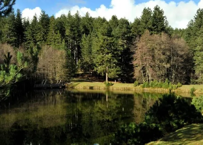 Montesanto 116 公寓 *